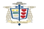 纽曼主教中学-Logo,Cardinal Newman High School-logo