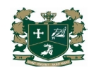 圣文森特-圣玛丽中学-Logo,St.Vincent-St.Mary High School-logo