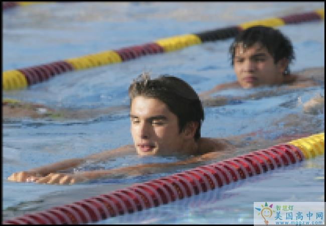 American Renaissance School-美国文艺复兴中学-American Renaissance School的游泳.png
